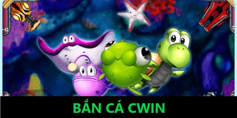 ban-ca-cwin-gioi-thieu