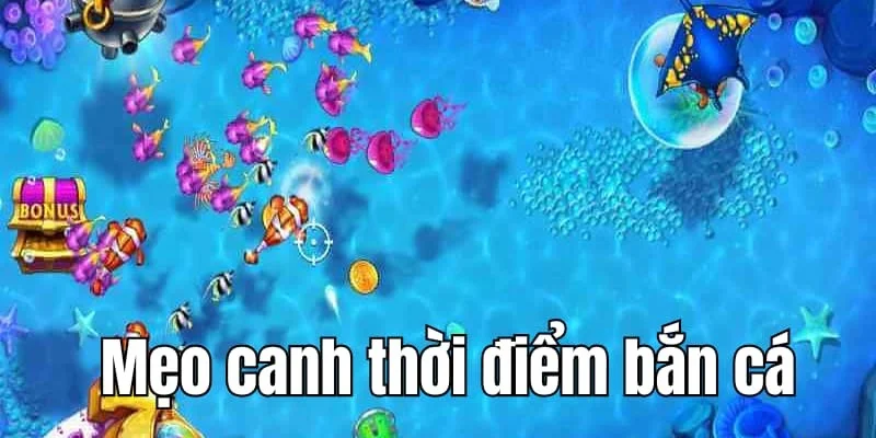 ban-ca-doi-thuong-meo-canh-thoi-diem